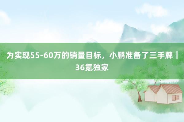 为实现55-60万的销量目标，小鹏准备了三手牌｜36氪独家