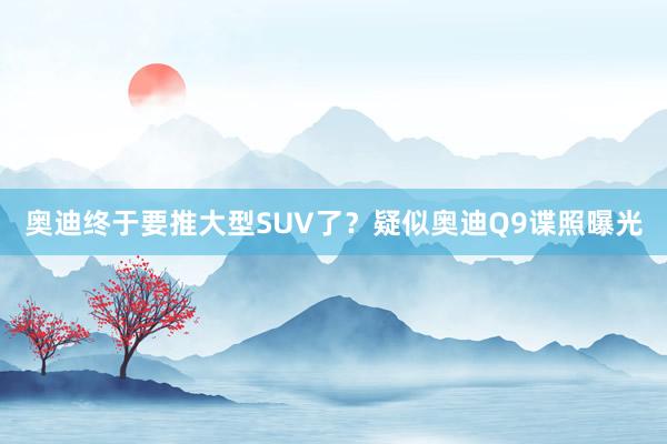 奥迪终于要推大型SUV了？疑似奥迪Q9谍照曝光