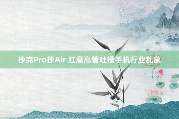 抄完Pro抄Air 红魔高管吐槽手机行业乱象