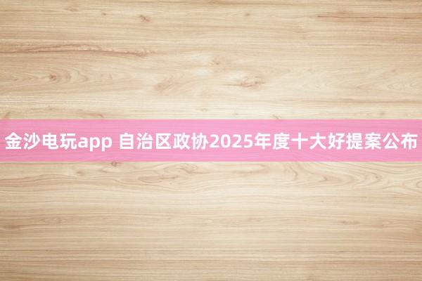 金沙电玩app 自治区政协2025年度十大好提案公布