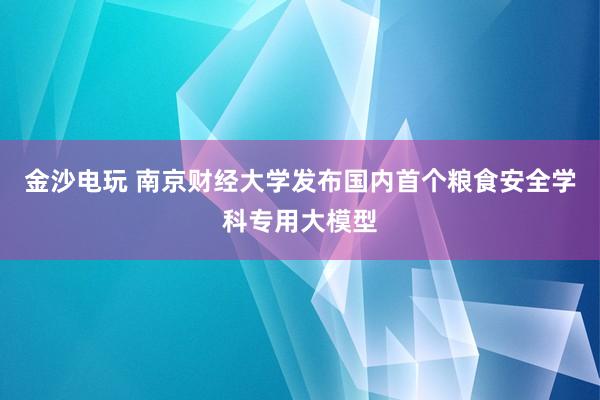 金沙电玩 南京财经大学发布国内首个粮食安全学科专用大模型
