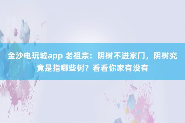 金沙电玩城app 老祖宗:阴树不进家门,阴树究竟是指哪些树?看看你家有没有