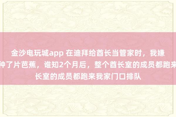 金沙电玩城app 在迪拜给酋长当管家时,我嫌院子太空随手种了片芭蕉,谁知2个月后,整个酋长室的成员都跑来我家门口排队