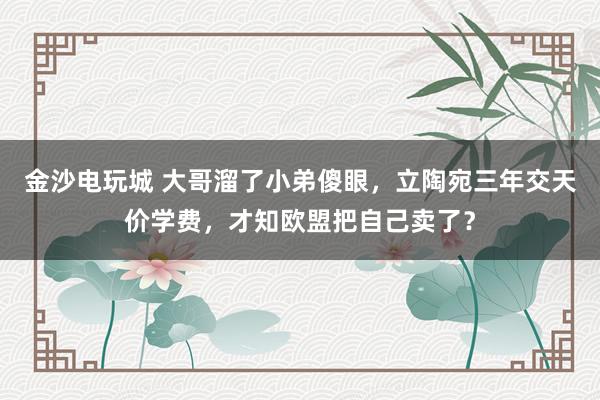 金沙电玩城 大哥溜了小弟傻眼，立陶宛三年交天价学费，才知欧盟把自己卖了？