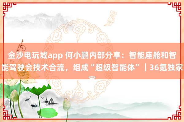 金沙电玩城app 何小鹏内部分享:智能座舱和智能驾驶会技术合流,组成“超级智能体”|36氪独家