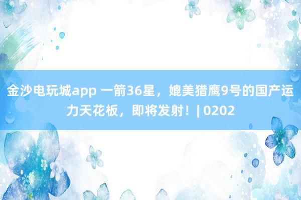 金沙电玩城app 一箭36星，媲美猎鹰9号的国产运力天花板，即将发射！| 0202