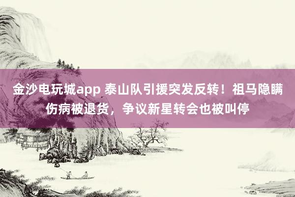 金沙电玩城app 泰山队引援突发反转！祖马隐瞒伤病被退货，争议新星转会也被叫停
